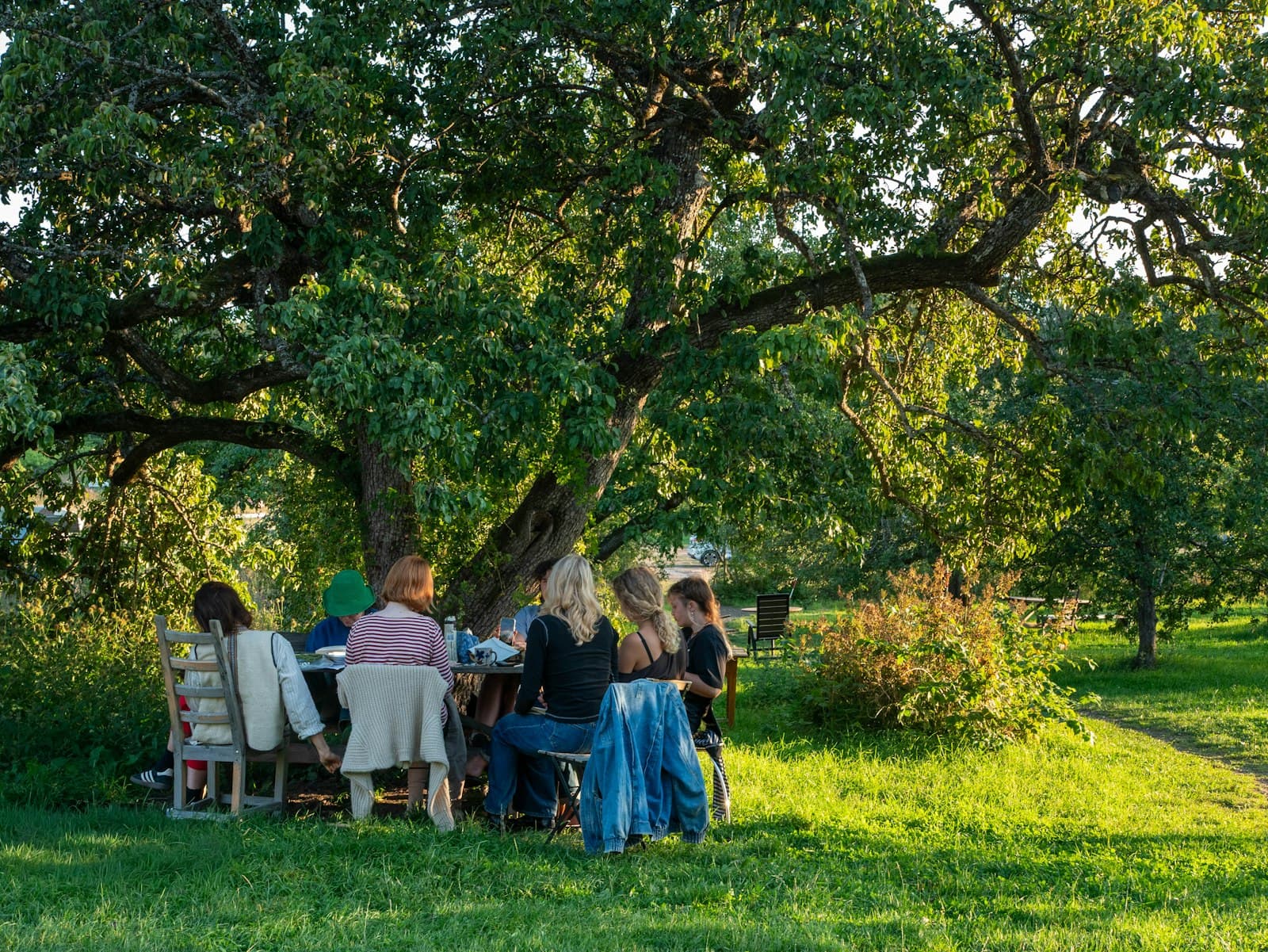 Buren zitten samen aan een lange tafel onder een boom in warm avondlicht tijdens Burendag