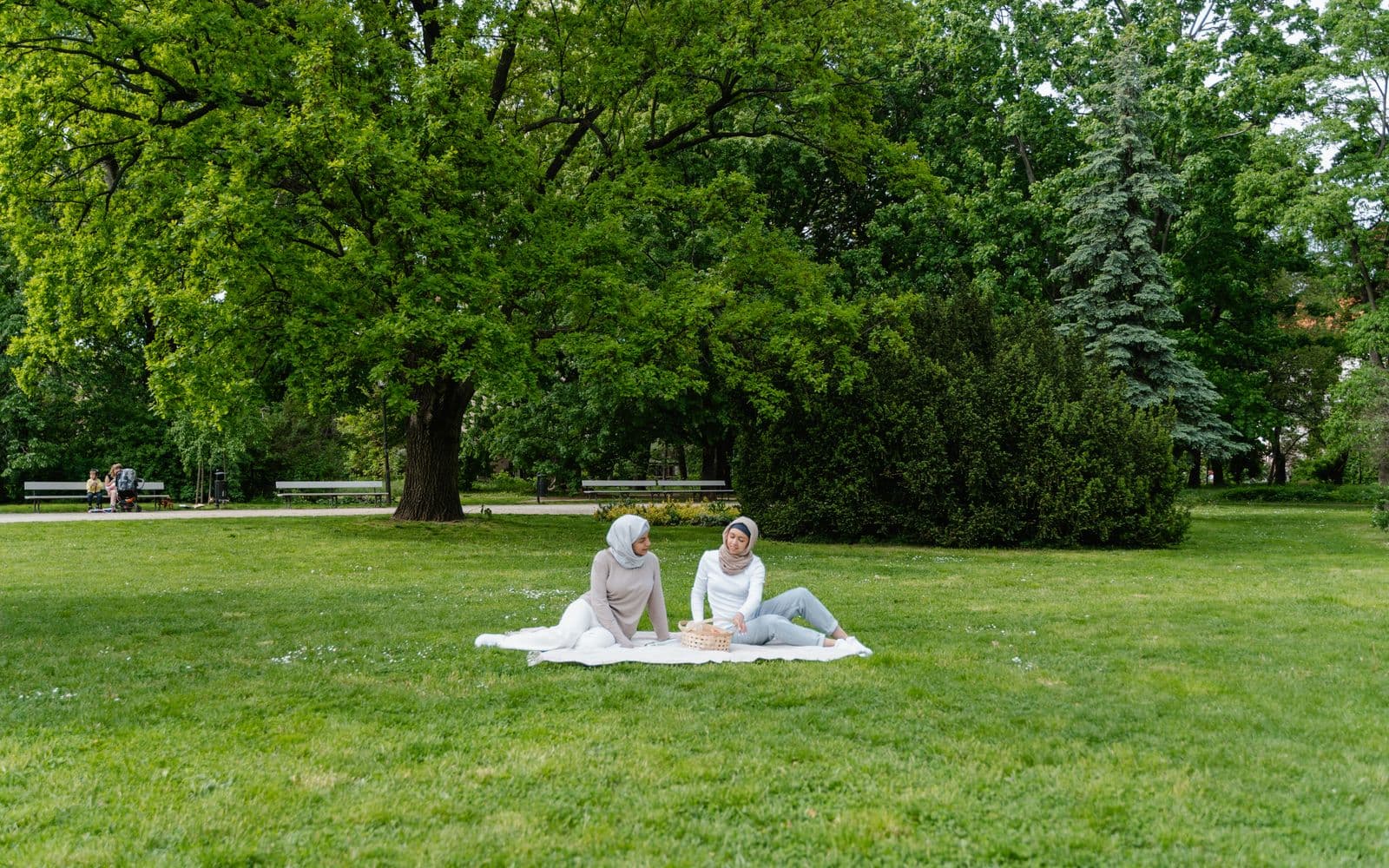 Twee mensen zitten op een wit picknickkleed met een mand op een groot grasveld onder hoge bomen in een park