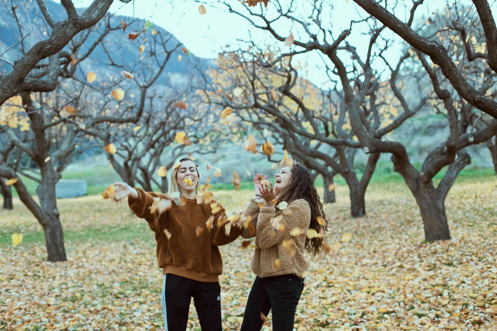 Twee vriendinnen lachen en gooien herfstbladeren in de lucht tijdens een wandeling buiten